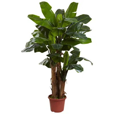 Homplanti 7' Banana Tree W/15" Pot W/uv
