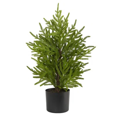 Homplanti 2' Norfolk Island Pine "natural Look" Tree In Planter