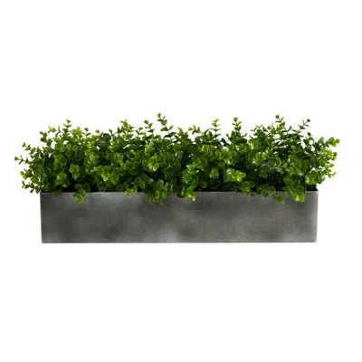 Homplanti 25" Eucalyptus Artificial Plant