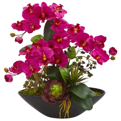 Homplanti 21" Phalaenopsis Orchid And Mixed Succulent Garden In Vase