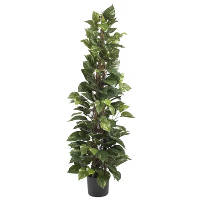 Homplanti 63" Pothos Climbing Silk Plant