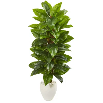 Homplanti 63" Philodendron Artificial Plant In Planter (real Touch)