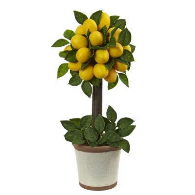 Homplanti 18" Lemon Ball Topiary