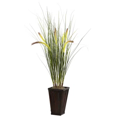 Homplanti Grass W/cattails & Bamboo Planter