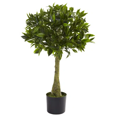 Homplanti 3' Bay Leaf Topiary Uv Resistant W/604 Lvs (indoor/outdoor)