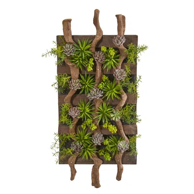 Homplanti 41" X 19" Mixed Succulent Artificial Living Wall
