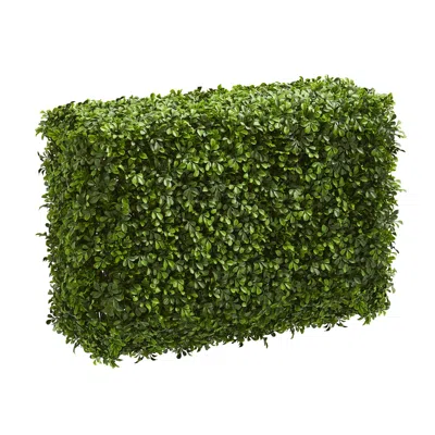 Homplanti 30" Eucalyptus Artificial Hedge (indoor/outdoor)