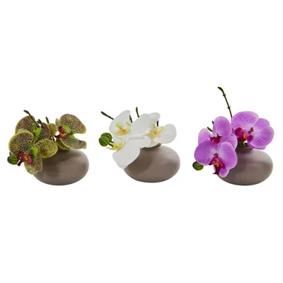 Homplanti 7" Phalaenopsis Pot (set Of 3)