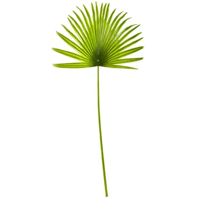 Homplanti 33'' Fan Palm Artificial Plant (set Of 6)