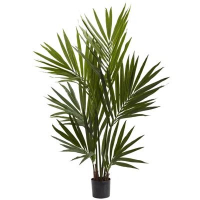 Homplanti 4' Kentia Palm Tree X 6 W/104 Lvs