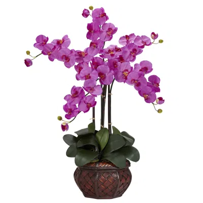 Homplanti 31" Phalaenopsis W/decorative Vase Arrangement Orchid