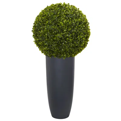 Homplanti 30" Boxwood Topiary In Gray Planter (indoor/outdoor)