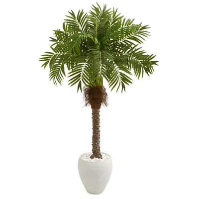 Homplanti 63" Robellini Palm Artificial Tree In White Planter