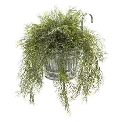 Homplanti 10" Tillandsia Moss Plant In Vintage Hanging Metal Pail
