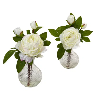 Homplanti 11" Peony With Vase (set Of 2)
