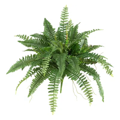 Homplanti 40inch Boston Fern (set Of 2)