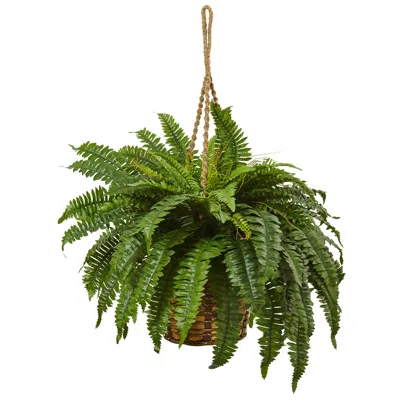 Homplanti 29" Boston Fern Hanging Basket