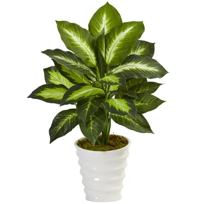 Homplanti 22" Dieffenbachia In Swirl Planter