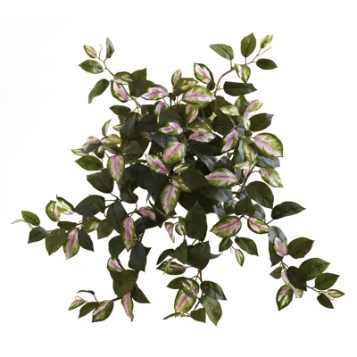 Homplanti 21" Hoya Hanging Bush (set Of 4)