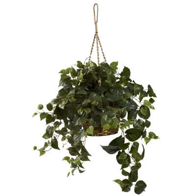 Homplanti Philo Hanging Basket