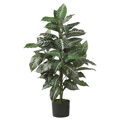 Homplanti 3' Zebra Silk Plant
