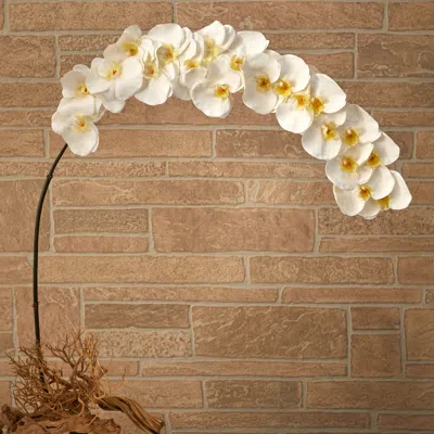 HOMPLANTI 5' LARGE PHALAENOPSIS ORCHID ARTIFICIAL FLOWER (SET OF 2) 