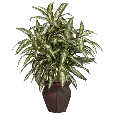 Homplanti Aglaonema W/decorative Vase