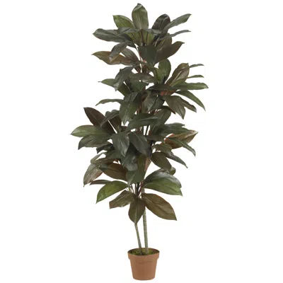 Homplanti 5' Cordyline Plant (real Touch)