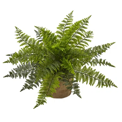 Homplanti 15" Ruffle Fern Bush W/burlap Base (set Of 2)