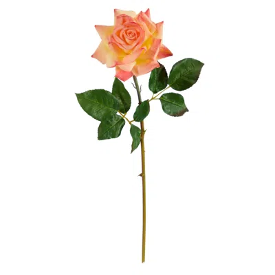 Homplanti 20" Rose Artificial Flower (set Of 6)