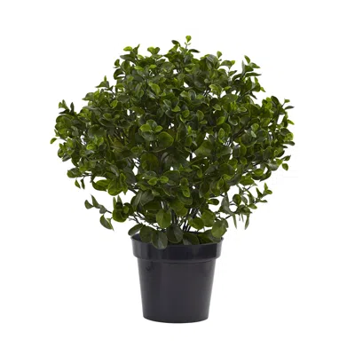 Homplanti 28" Peperomia Plant Uv Resistant (indoor/outdoor)