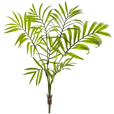 Homplanti 15" Mini Areca Palm Bush (set Of 8)