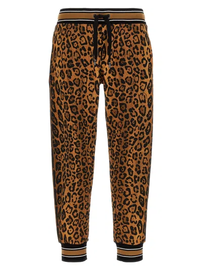 Shop Dolce & Gabbana Animalier Joggers