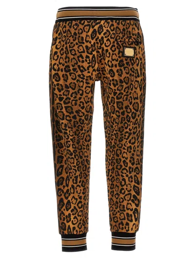 Dolce & Gabbana Animalier Joggers Pants Multicolor