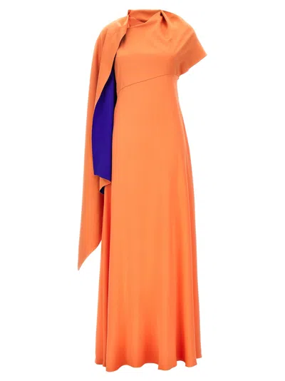 Roksanda 'pilar' Draped Floor-length Dress