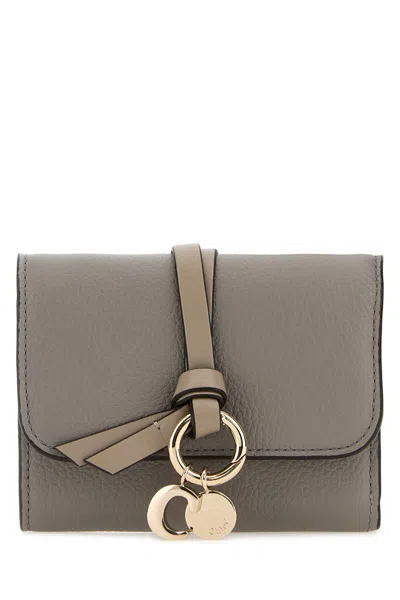 Shop Chloé Wallets In 053