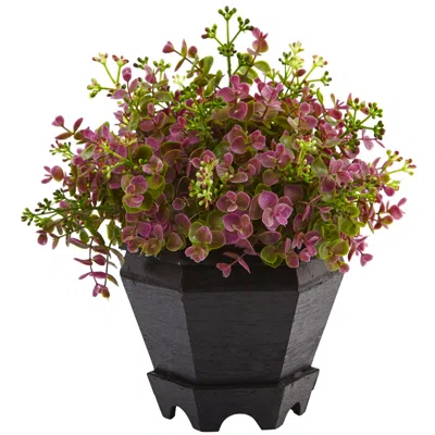 Homplanti 13" Sedum And Eucalyptus Plant With Planter