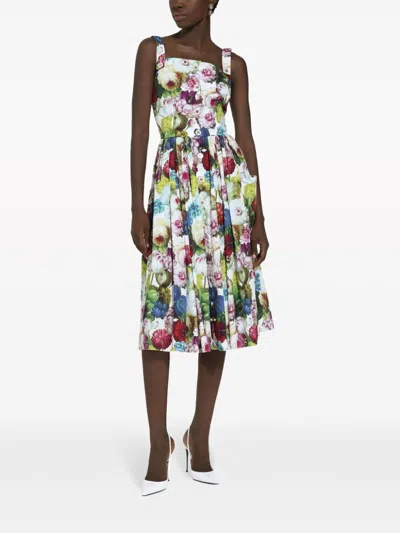 Shop Dolce & Gabbana Flower Print Midi Cotton Dress