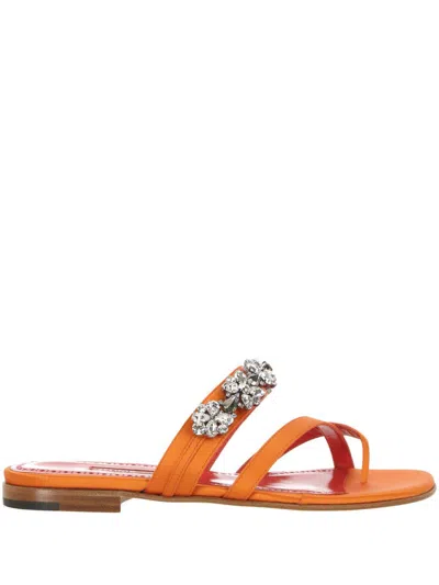 Shop Manolo Blahnik Sandals In Dora