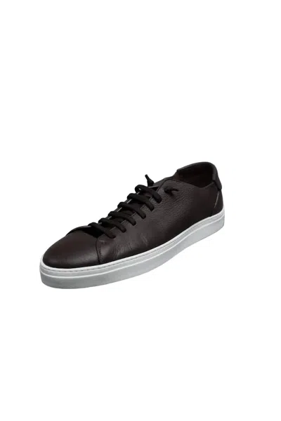 Fabiano Ricci Men Leather Low-top Sneakers In Brown In Brown