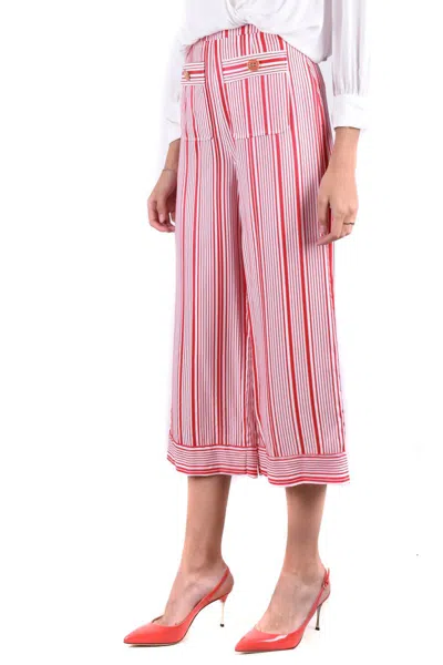 Elisabetta Franchi Trousers In Multicolor
