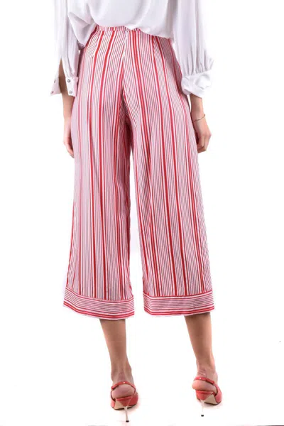 Elisabetta Franchi Trousers In Multicolor