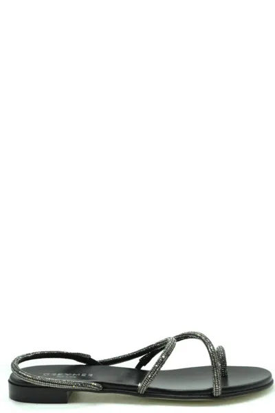 Greymer Sandals In Black