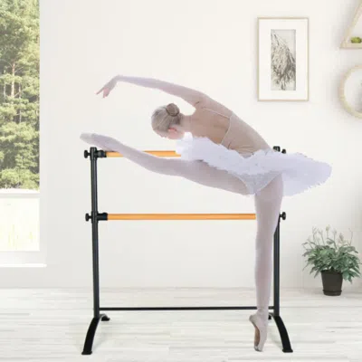 Hivvago 4 Foot Portable Freestanding Double Ballet Barre-black