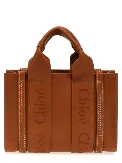 Shop Chloé 'woody Mini' Handbag