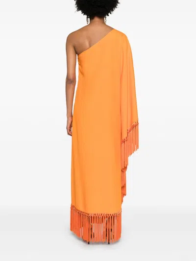 Taller Marmo Arno One-shoulder Midi Dress