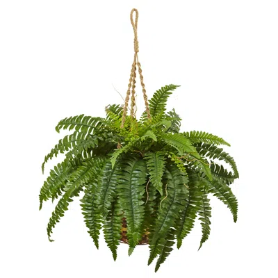 Homplanti 33" Boston Fern Hanging Basket