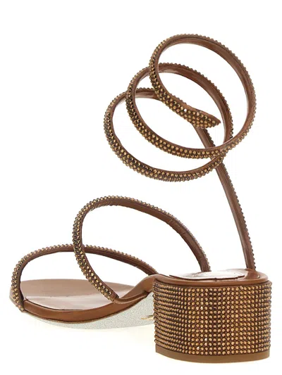 Shop René Caovilla 'cleo' Sandals In Brown