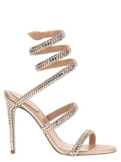 Shop René Caovilla 'cleo' Sandals In Pink