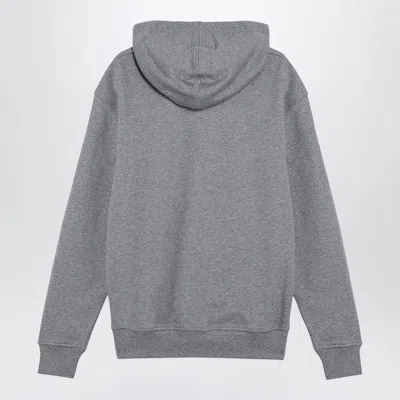 Shop Ami Alexandre Mattiussi Ami Paris Ami De Coeur Sweatshirt Hoodie In Grey